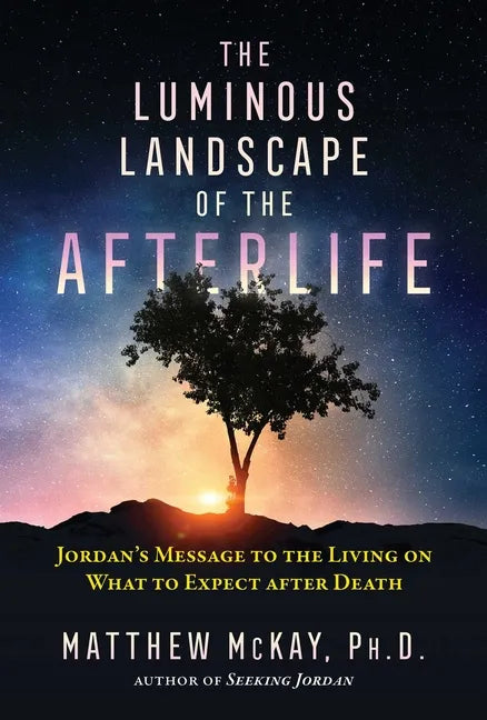 The Luminous Landscape of the Afterlife: Jordan's Message to the Living on What to Expect After Death - Paperback