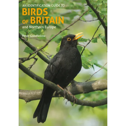Identification Guide to Birds of Britain & Northern Europe - Paperback