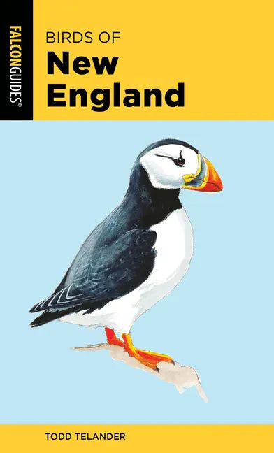 Birds of New England - Paperback