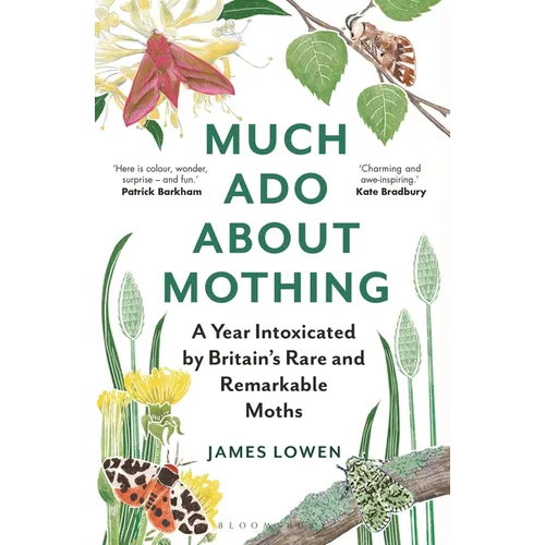 Much ADO about Mothing: A Year Intoxicated by Britain's Rare and Remarkable Moths - Paperback