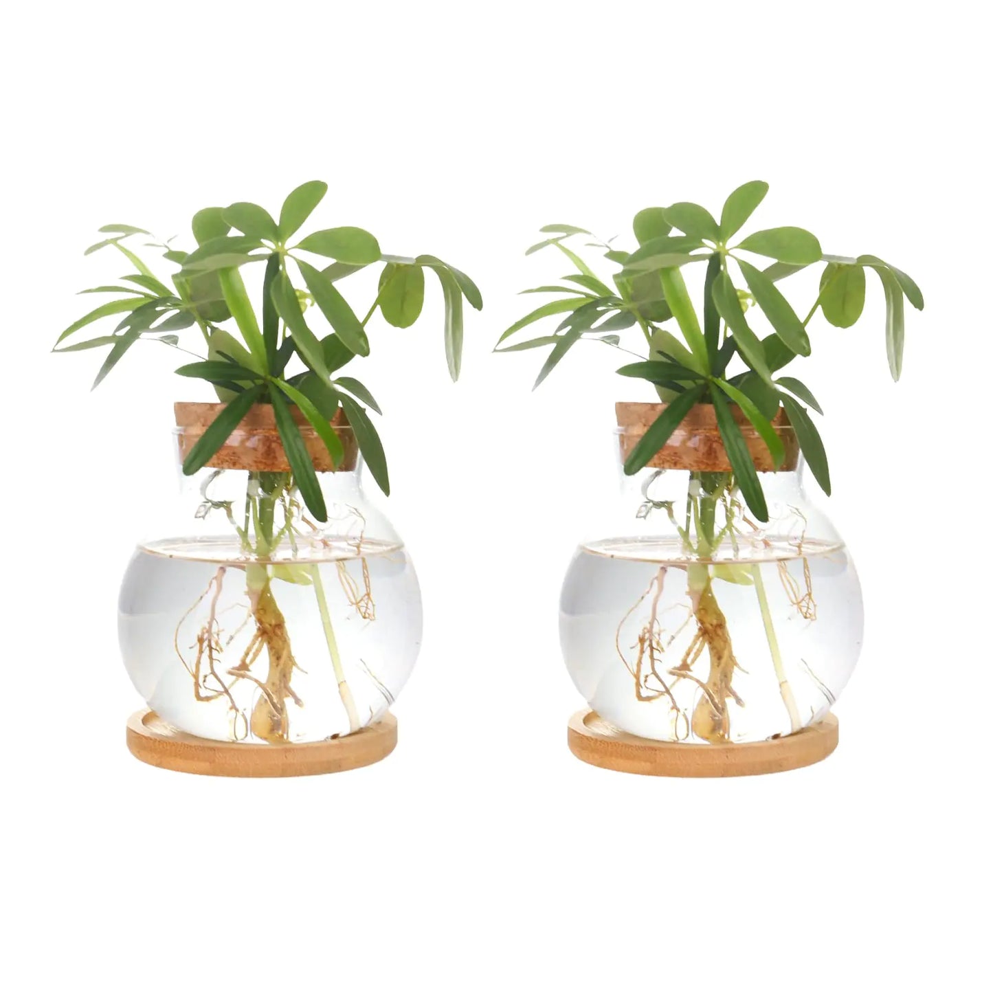 qQf3XF96knUx9uzT - 홈테코