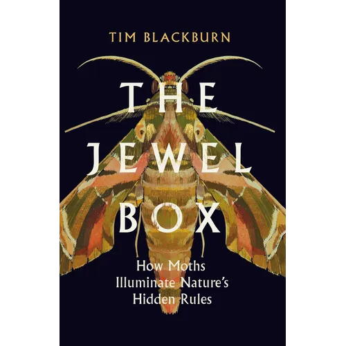 The Jewel Box: How Moths Illuminate Nature's Hidden Rules - Hardcover