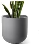 LE TAUCI 8 Inch Plant Pot, Ceramic Pot with Drainage Hole & Rubber Plug, Indoor Planter for Herbs & Small Houseplants, Cylinder Planter for Home Office, Black