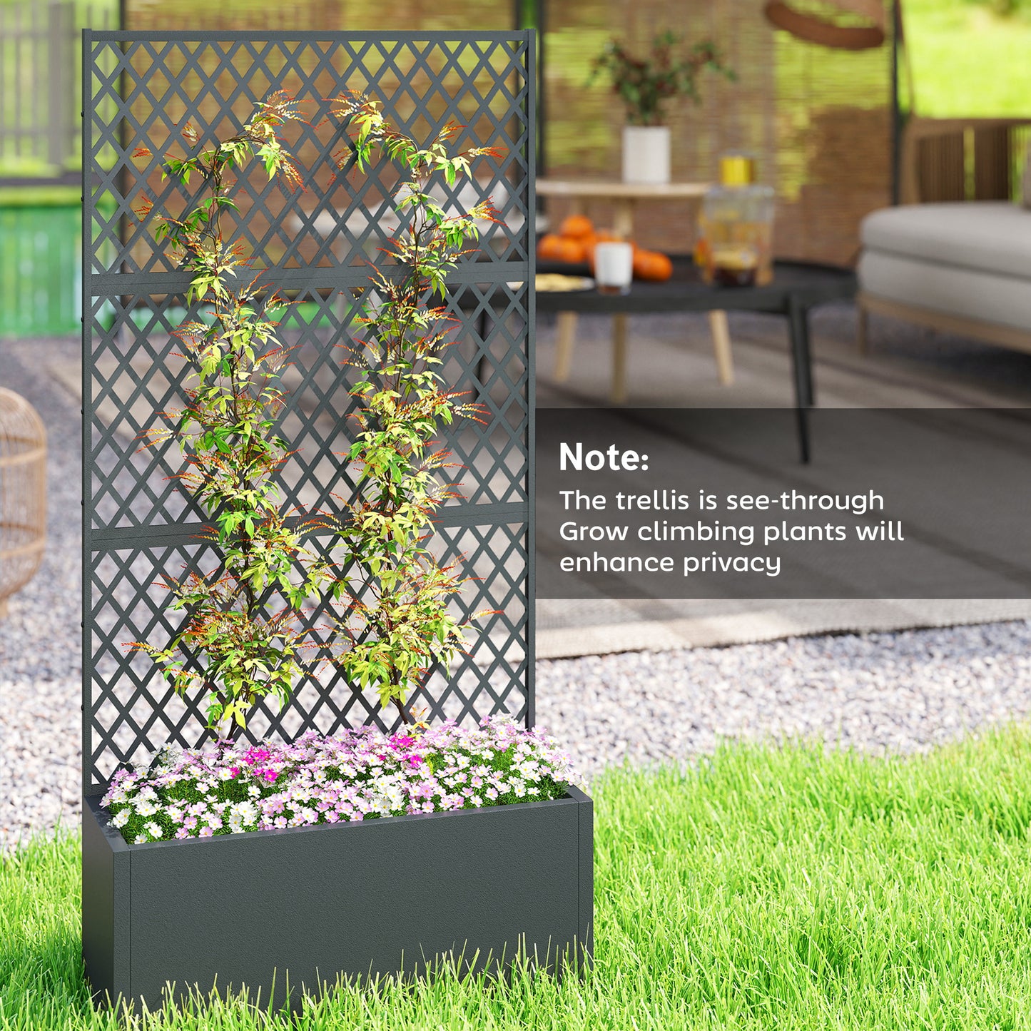 7cc821fca0974ed30cf1edaa317ff56d