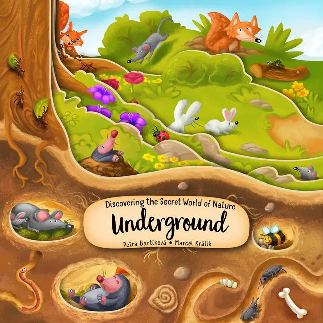 Discovering the Secret World of Nature Underground - Board Book
