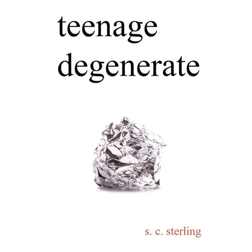 Teenage Degenerate: A Memoir that Explores the Depths of Methamphetamine and Drug Addiction - Paperback