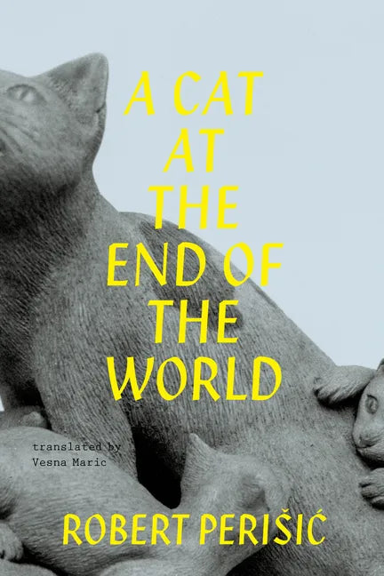 A Cat at the End of the World - Paperback