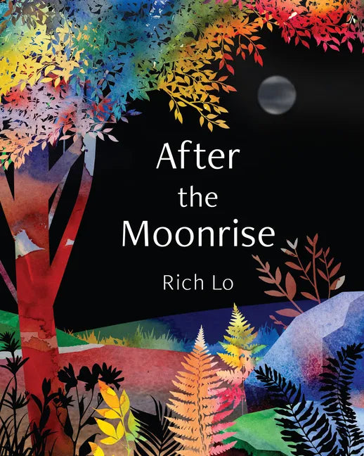 After the Moonrise - Hardcover
