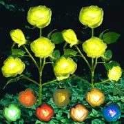 2557276d4ad9817a00b70317fbd4 - 홈테코