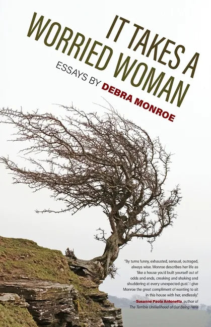 It Takes a Worried Woman: Essays - Paperback