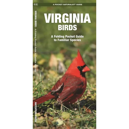 Virginia Birds: A Folding Pocket Guide to Familiar Species - Paperback