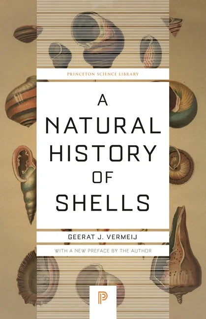 A Natural History of Shells - Paperback