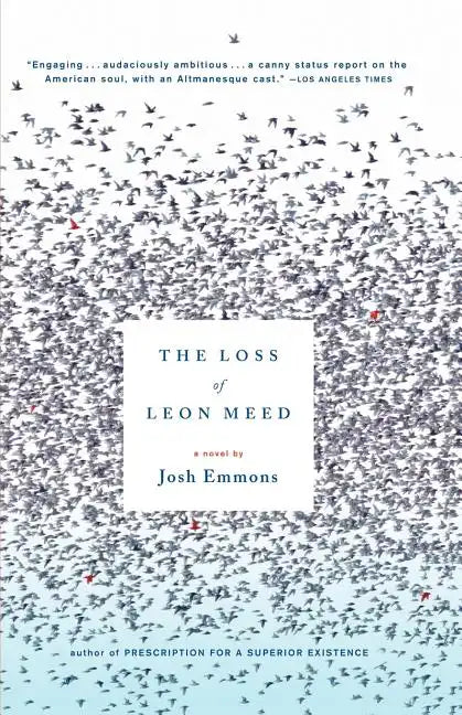 The Loss of Leon Meed - Paperback