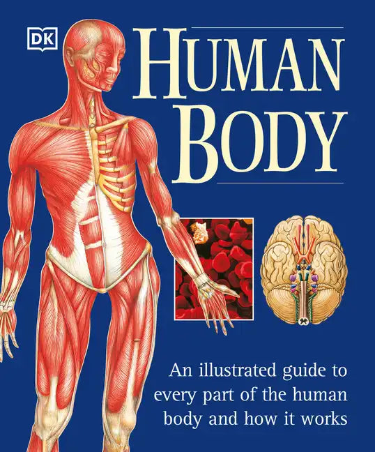 The Human Body: An Illustrated Guide to Every Part of the Human Body and How It Works - Paperback