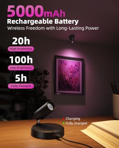 EZVALO RGB Indoor Spotlights, LED Accent Lights, Wall Decor Uplights.