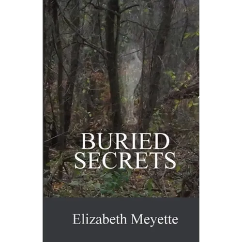 Buried Secrets: Sequel to the The Cavanaugh House - Paperback
