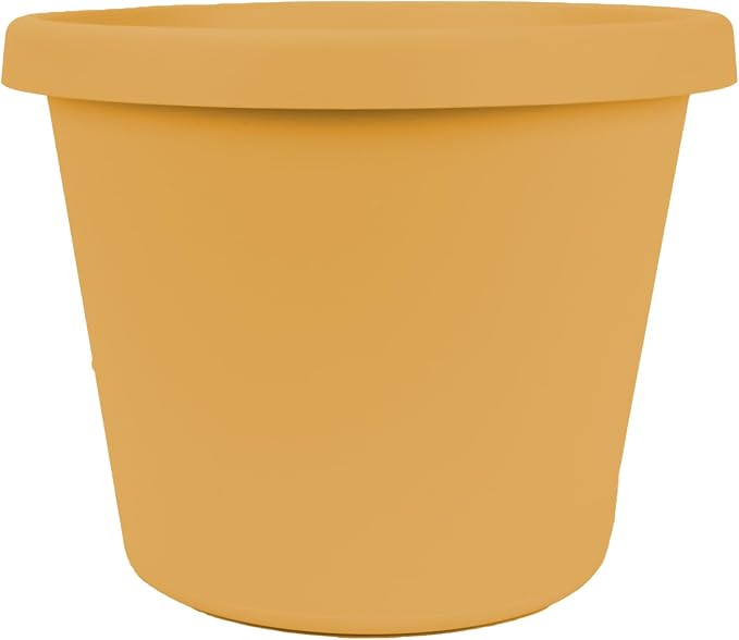The HC Companies Prima Round Plastic Plant Pot w/Rolled Rim - Lightweight & UV Resistant Flower Pot for Herbs & More - Outdoor & Indoor Plant Pots w/Drainage (10 inch, Honey, Pack of 1)
