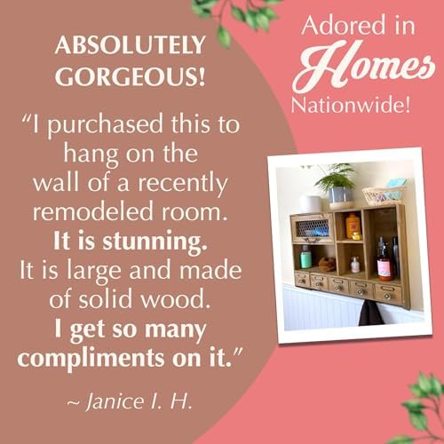 Felt Creative Home Goods Farmhouse Medicine Cabinet Organizer – Rustic Chicken Wire Wall Shelf with Hooks | Apothecary Shelf & Bathroom Wall Cabinet for Vintage Storage Farmhouse Shelves