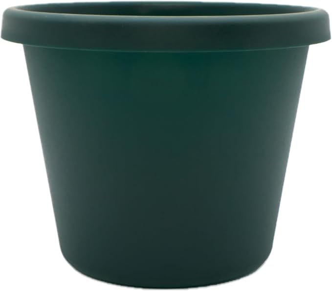 The HC Companies Prima Round Plastic Plant Pot w/Rolled Rim - Lightweight & UV Resistant Flower Pot for Herbs & More - Outdoor & Indoor Plant Pots w/Drainage (12 inch, Evergreen, Pack of 1)