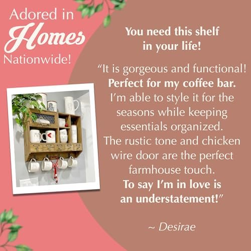 Felt Creative Home Goods Farmhouse Medicine Cabinet Organizer – Rustic Chicken Wire Wall Shelf with Hooks | Apothecary Shelf & Bathroom Wall Cabinet for Vintage Storage Farmhouse Shelves