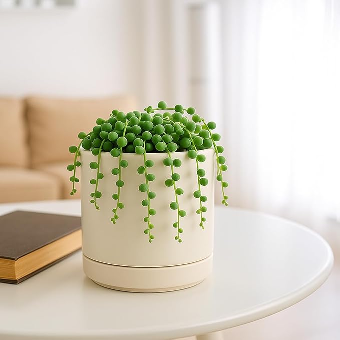 D'vine Dev 4.7 Inch Ceramic Planter Pot, Oatmeal, 94-O-B-8 | Modern Cylinder Design, Drainage Hole & Saucer Included, Stable Structure, Elegant Home Accent