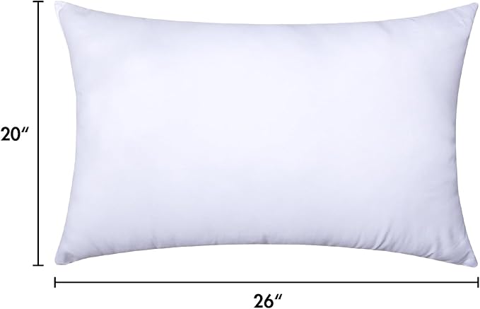 MIULEE Throw Pillow Insert Premium Pillow Stuffer Sham Rectangle for Decorative Cushion Bed Couch Sofa 20x26 Inch
