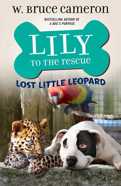 Lily to the Rescue: Lost Little Leopard - Paperback