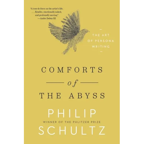 Comforts of the Abyss: The Art of Persona Writing - Paperback