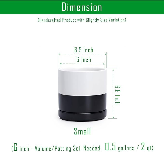 D'vine Dev 6.5 Inch Ceramic Planter Pot, Black White Two Tone, 94-O-C-L | Modern Cylinder Design, Drainage Hole & Saucer Included, Stable Structure, Elegant Home Accent