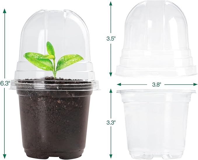Bluepro Clear Nursery Pots with Humidity Domes, 4 Inch, 30-Pack | Clear PET, Drainage Holes, Root and Germination Visibility, Flexible, Indoor Propagation and Seed Starting