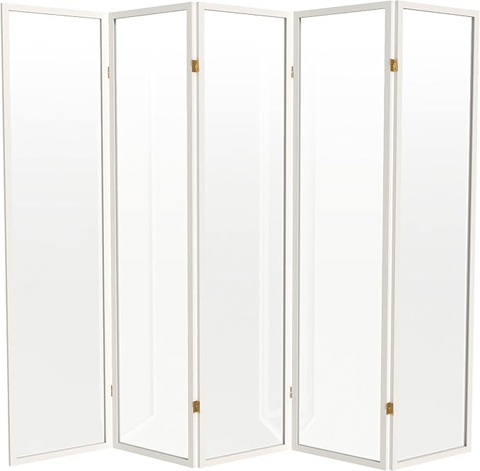 Red Lantern 6 ft. Tall Clear Plastic Partition White 5 Panel