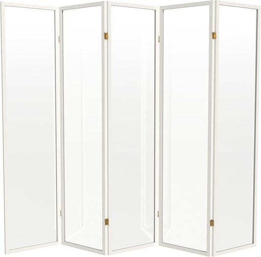 Red Lantern 6 ft. Tall Clear Plastic Partition White 5 Panel