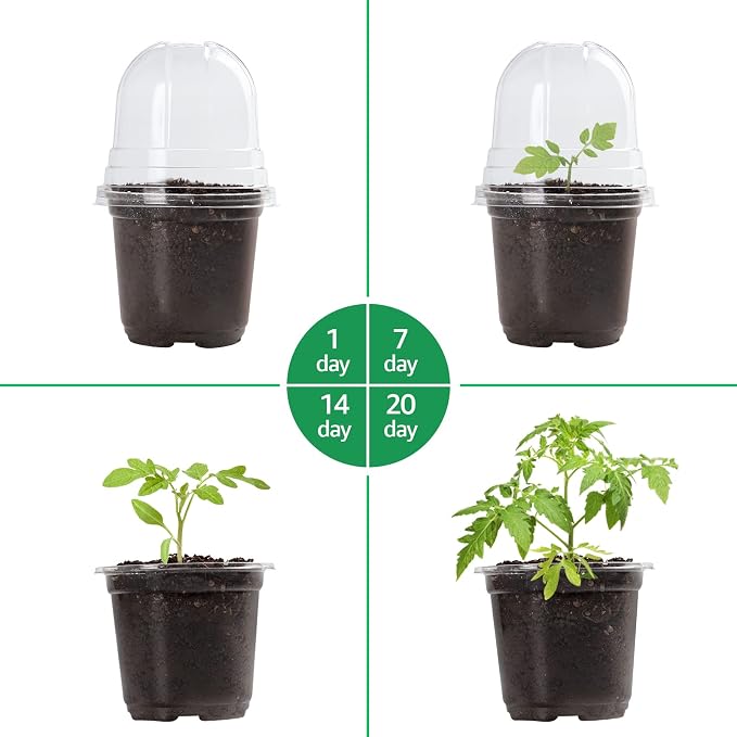Bluepro Clear Nursery Pots with Humidity Domes, 4 Inch, 30-Pack | Clear PET, Drainage Holes, Root and Germination Visibility, Flexible, Indoor Propagation and Seed Starting