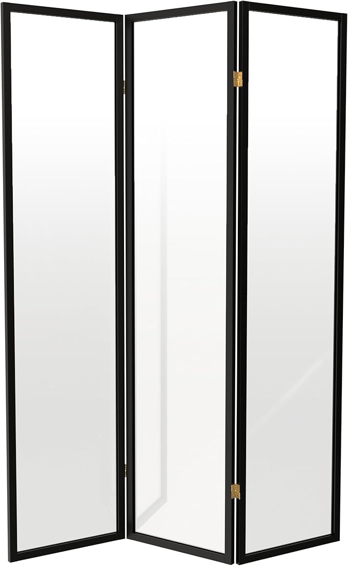 Red Lantern 6 ft. Tall Clear Plastic Partition Black 3 Panel