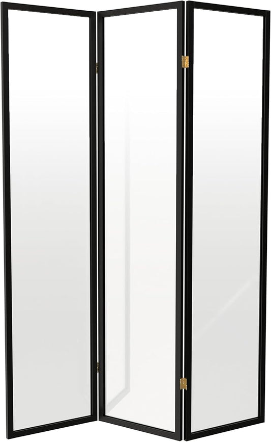 Red Lantern 6 ft. Tall Clear Plastic Partition Black 3 Panel