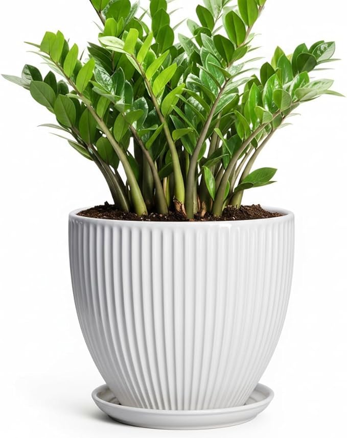 10 Inch Planter, Ceramic Plant Pots with Drainage Hole and Saucer, Modern Large Planters for Indoor Plants, Round Planter, Decorative Flower Pots, Living Room Decor, Gifts for Men Women, White