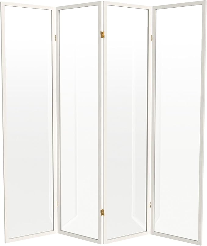 Red Lantern 6 ft. Tall Clear Plastic Partition White 4 Panel