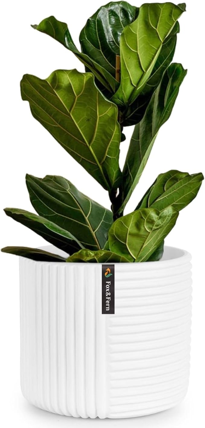 Fox & Fern Large Indoor Planter, Modern Large Plant Pot for Indoor or Outdoor, UV and Frost Resistant - 12 inch, Matte White Flower Pot with Drainage Plug, 3D Printed Design