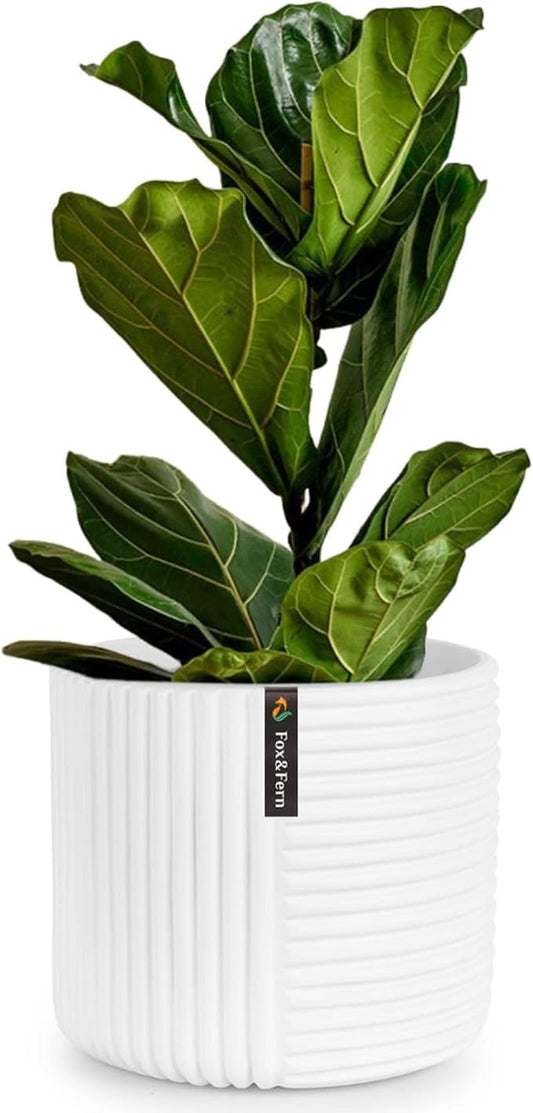 Fox & Fern Large Indoor Planter, Modern Large Plant Pot for Indoor or Outdoor, UV and Frost Resistant - 12 inch, Matte White Flower Pot with Drainage Plug, 3D Printed Design