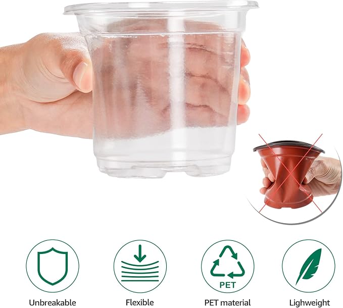 Bluepro Clear Nursery Pots with Humidity Domes, 4 Inch, 30-Pack | Clear PET, Drainage Holes, Root and Germination Visibility, Flexible, Indoor Propagation and Seed Starting