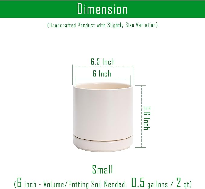 D'vine Dev 6.5 Inch Ceramic Planter Pot, Oatmeal, 94-O-C-8 | Modern Cylinder Design, Drainage Hole & Saucer Included, Stable Structure, Elegant Home Accent