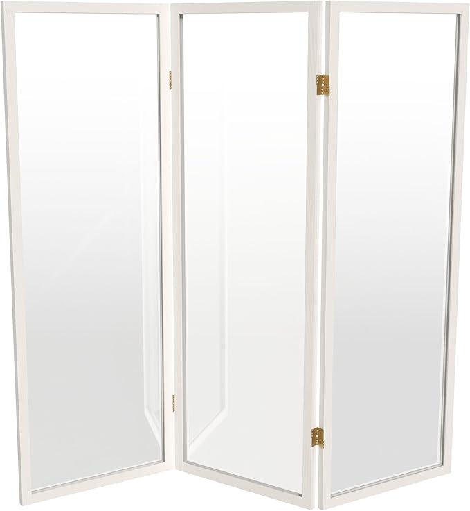 4 ft. Short Clear Plastic Partition White 3 Panel