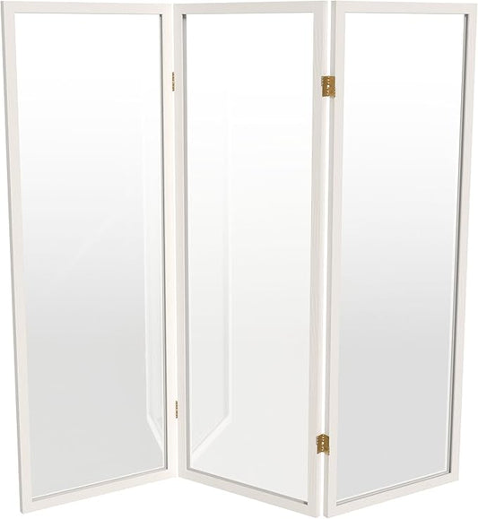 4 ft. Short Clear Plastic Partition White 3 Panel