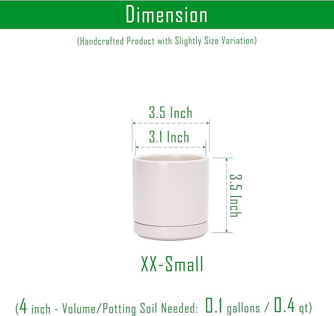 D'vine Dev 2-Pack Ceramic Pots with Saucers, Oatmeal, 3.5 in, 94-V-A-8 | Modern Cylinder Design, Glazed Ceramic, Drainage Hole & Saucer Included, High Temperature Fired, Elegant Home Accent