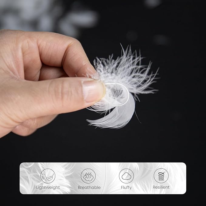 MOOX Down Feathers Pillow Stuffing Filling for DIY Projects Premium Natural 5/95 Goose Feather Down Soft Fluffy Perfect for Pillow Cushions Bedding Pillow Couch Dog Bed Upholstery Crafts (2.0, Pounds)