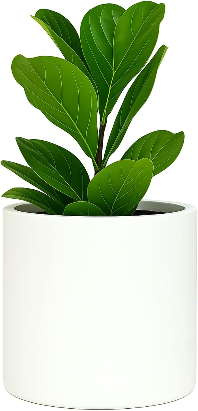 Fox & Fern Large Indoor Planter, Modern Large Plant Pot for Indoor or Outdoor, UV and Frost Resistant - 12 Inch, Matte White Flower Pot with Hidden Saucer, Lightweight