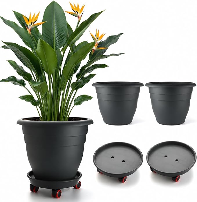 RooTrimmer 3 Pack 20 Inch Large Plant Pots with 13.5 Inch Rolling Saucers,Heavy Duty Planters with Wheels and Drainage Holes,Plastic Flower Pots for Indoor Outdoor Large Plants