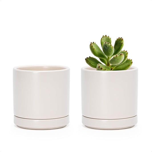D'vine Dev 2-Pack Ceramic Pots with Saucers, Oatmeal, 3.5 in, 94-V-A-8 | Modern Cylinder Design, Glazed Ceramic, Drainage Hole & Saucer Included, High Temperature Fired, Elegant Home Accent