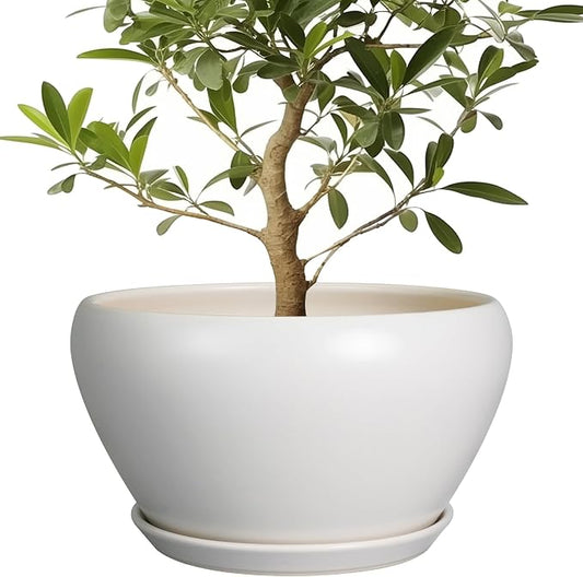 Ceramicfor Planter for Indoor Plants 13 Inch - Ceramic Plant Pot with Drainage Hole and Saucer Decorative Round Large Planter Pot for Plants Outdoor Flower Pot for Room Decor White