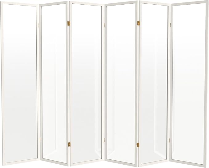 Red Lantern 6 ft. Tall Clear Plastic Partition White 6 Panel